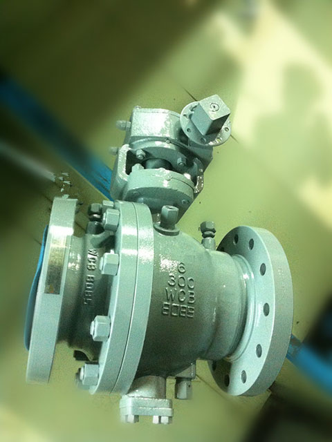 Cast Trunnion Ball Valve