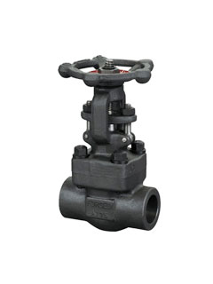 Forged steel gate valve