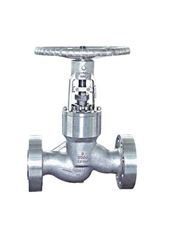 Cast Steel Globe Valve