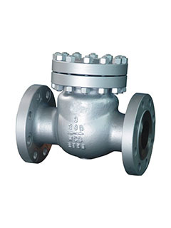 Cast Steel Check Valve