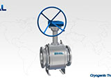 Cryogenic Ball Valve