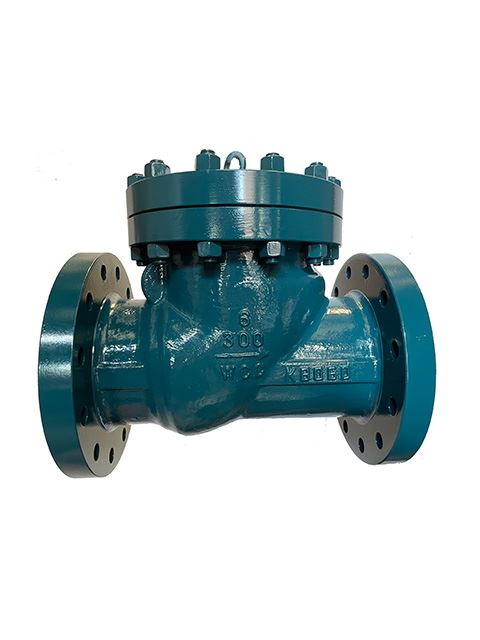 Cast Steel Check Valve