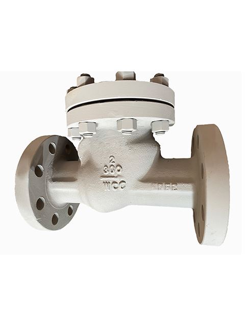 Cast Steel Check Valve