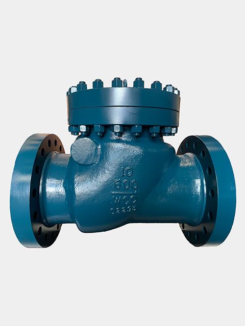 Cast Steel Check Valve